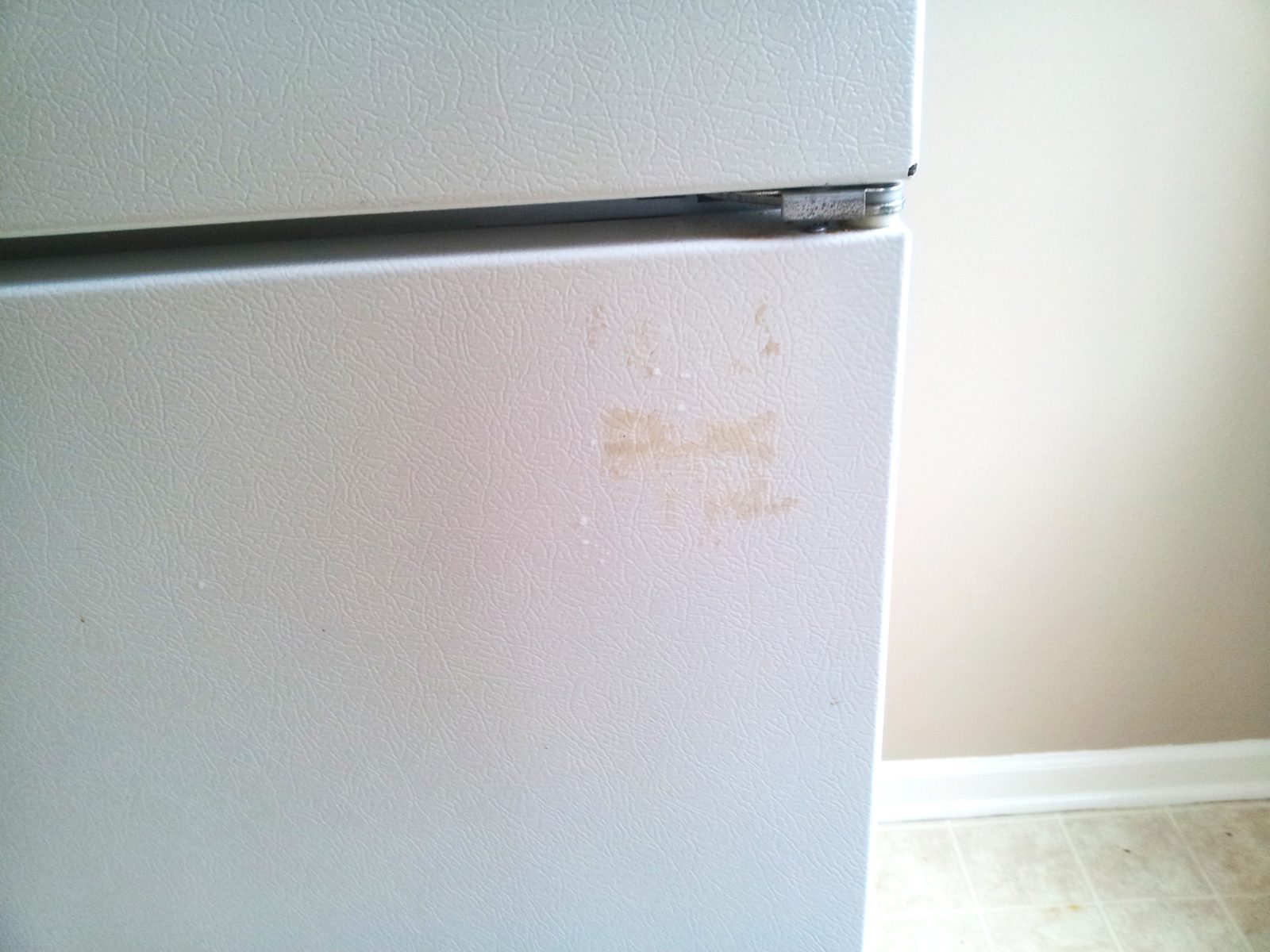 Refrigerator before cleaning