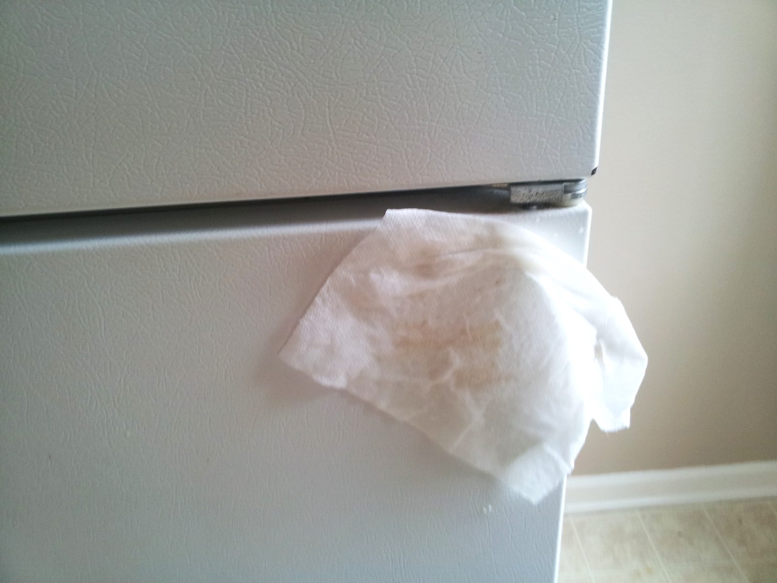 Refrigerator during cleaning with Excel 88
