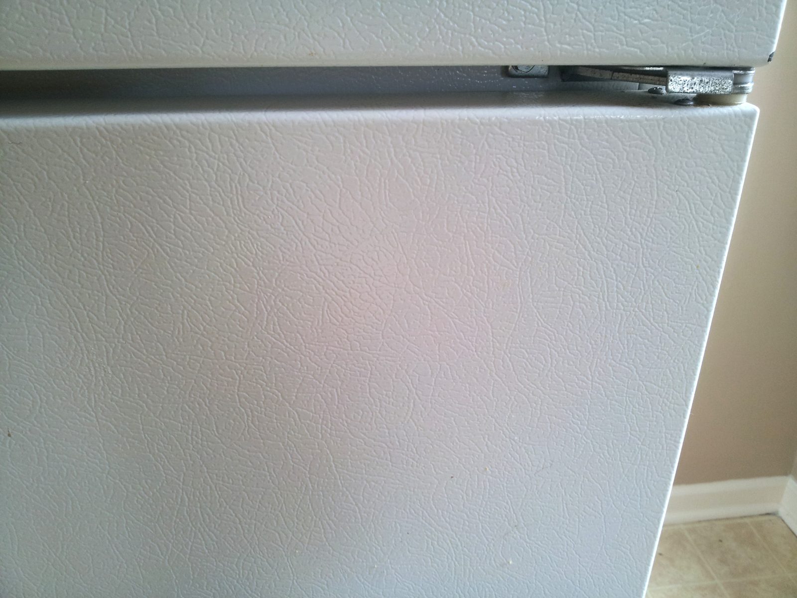Refrigerator after cleaning